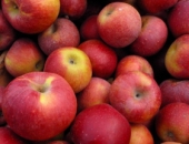 Поддержат производителей овощей и фруктов затронутых российским эмбарго