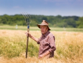 Порядок расчета доходов от сельскохозяйственного производства