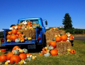 Фермеры смогут использовать маркированное топливо для собственных перевозок