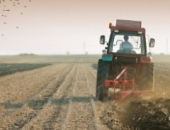 До 1 мая нужно указать вид основной хозяйственной деятельности согласно кодам NACE