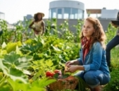 Применение налогов, если школьник работает на летних каникулах