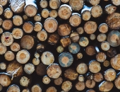 Как применять НДС к поставкам лесоматериалов?