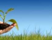 В следующем году не будут введены ограничения для отраслей микропредприятий