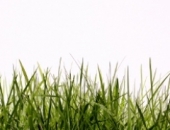 Изменения в сфере окружающей среды в 2017 году 