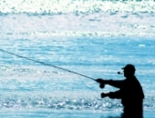 Самозанятым самим нужно производить ОВГСС