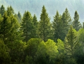 До 2020 года планируют заморозить кадастровые стоимости недвижимости