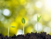 До 17 июля нужно задекларировать полученные доходы от прироста капитала 