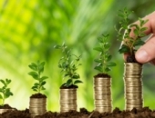 Утверждены поправки в Законе о НМП