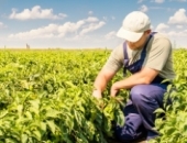 Основные изменения для лиц, осуществляющих хозяйственную деятельность