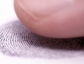 Создадут регистр физических лиц