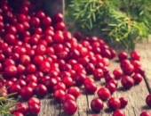 Доход от даров дикой природы – как применять ПНН?