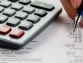 Выводы СГД о первых декларациях ПНП