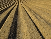 Крестьяне смогут уплачивать налоги по частям или отложить платежи на время