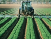 Для сезонных сельскохозяйственных работников – особый налоговый режим