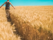 К сезонным сельскохозяйственным работникам применяют особый налоговый режим