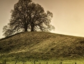 Планируется ограничить прирост ННИ для владельцев сельской земли