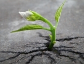 Мероприятия поддержки преодоления кризиса, вызванного Covid-19 продолжатся и в следующем году