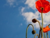 28 марта нужно перейти на летнее время