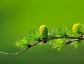 С 2022 года повышается необлагаемый минимум