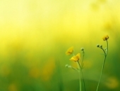 В каких случаях доплату можно не включать в средний заработок?