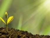 Изменения в Законе о налоге на добавленную стоимость