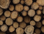 Как оформить накладную за лесоматериалы?