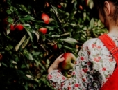 Применение налогов, если школьник работает летом