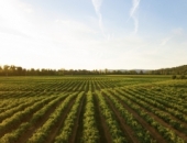 Подоходный налог для сезонных рабочих можно будет применять дольше