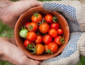 Продлен специальный налоговый режим для сезонных сельхозработников