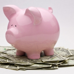 Служба государственных доходов 