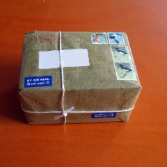 Служба государственных доходов 