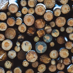 Служба государственных доходов 