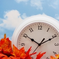 Астра Пилсума