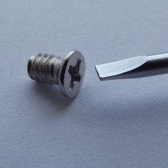 Карлина Стамере