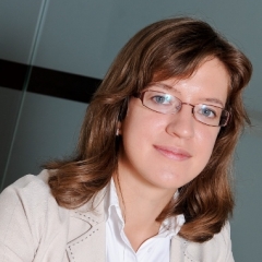 Вычет предналога в сделках холдинговых обществ