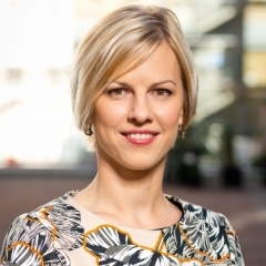 Гибридные несоответствия — новый элемент облагаемой ПНП базы