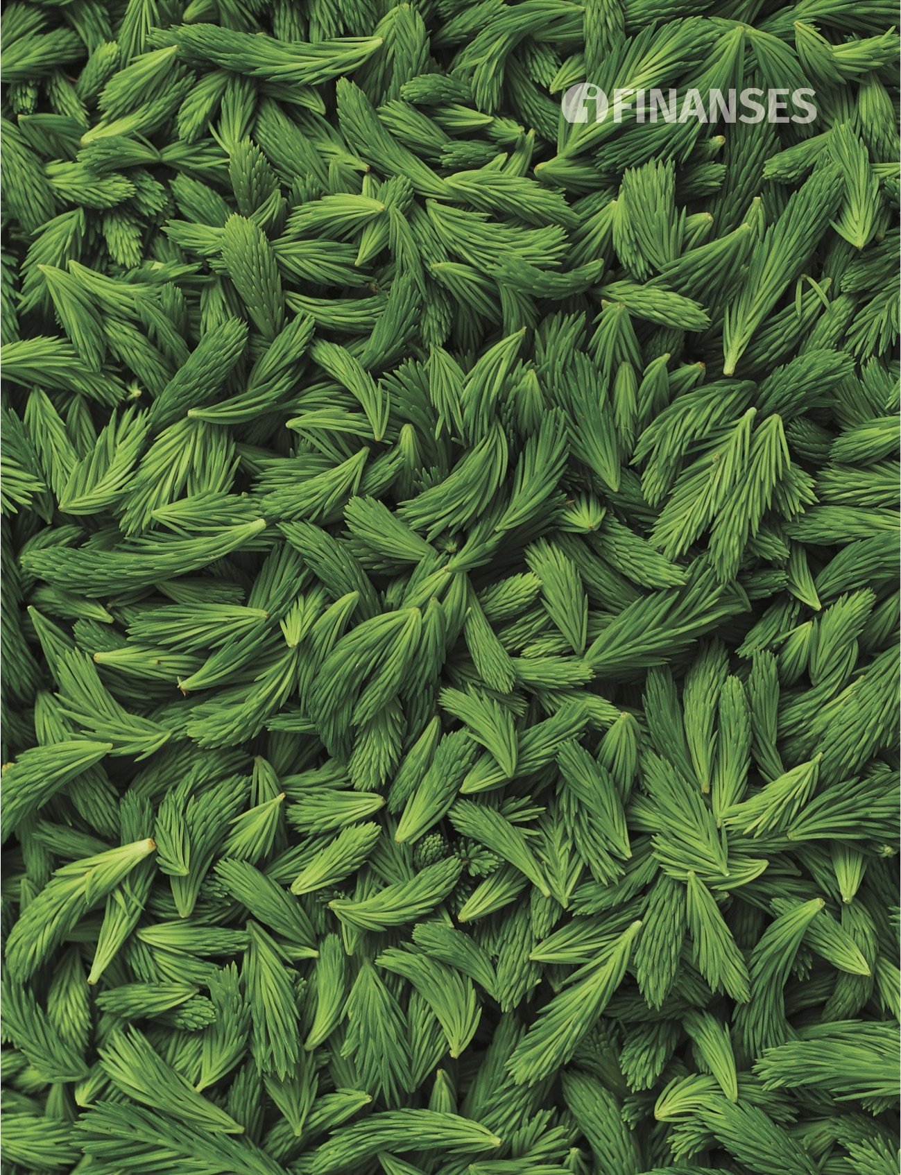 iFinanses augusts 2019